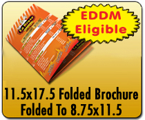 11.5x17.5 Folded Brochure - Direct Mail | Cheapest EDDM Printing